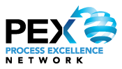 PROCESS EXCELLENCE logo